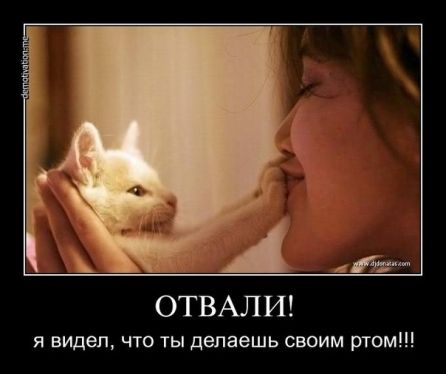 Фото приколы 2012 _122