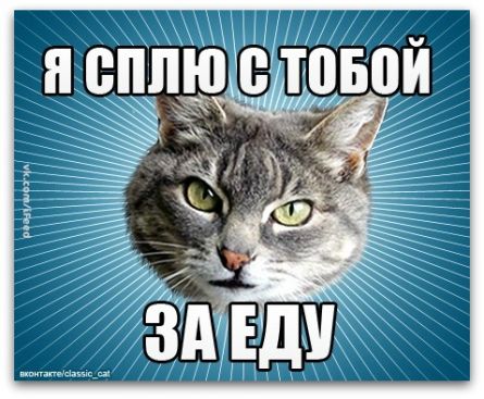 Фото приколы _190