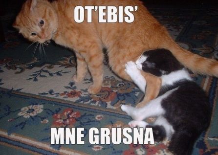 Новые приколы 2012-2013 _320