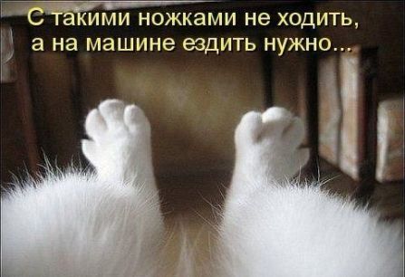 Новые приколы 2012-2013 _333