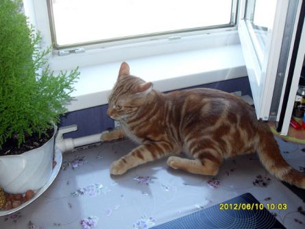 Новые приколы 2012-2013 _295