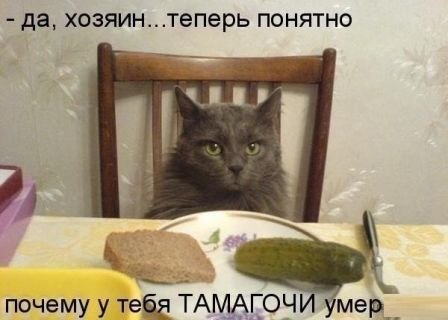 Новые приколы 2012-2013 _310