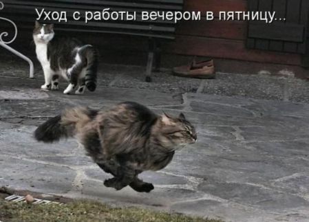 Прикольные фото _270