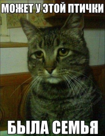 Новые приколы 2012-2013 _328