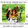 Новые приколы 2012-2013 _299